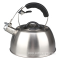 Stainless Steel Induction Whistling Tea Kettle